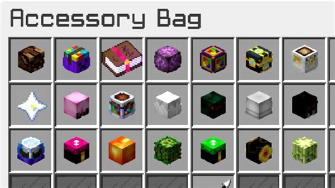 The Best Talismans for Tanking in Hypixel Skyblock